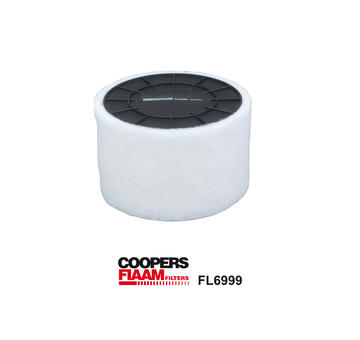 Vzduchový filter CoopersFiaam FL6999