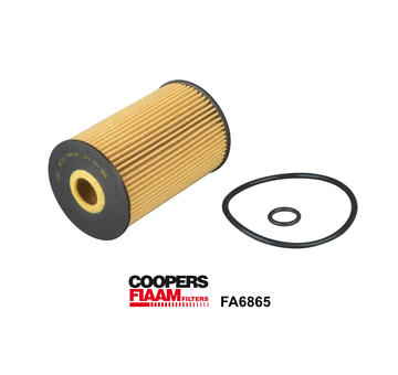 Olejový filter CoopersFiaam FA6865