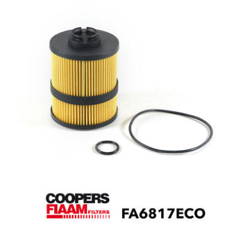 Olejový filter CoopersFiaam FA6817ECO