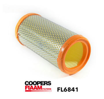 Vzduchový filter CoopersFiaam FL6841