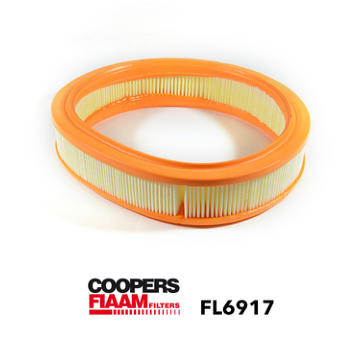 Vzduchový filter CoopersFiaam FL6917