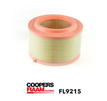 Vzduchový filter CoopersFiaam FL9215