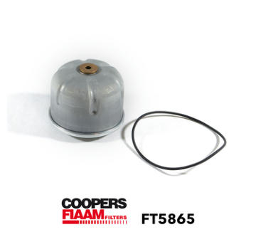 Olejový filter CoopersFiaam FT5865