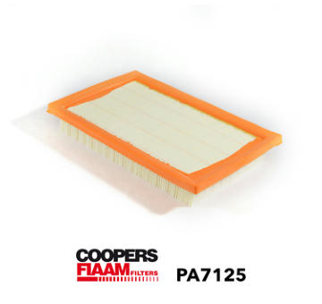 Vzduchový filter CoopersFiaam PA7125