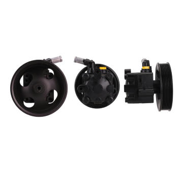 Hydraulické čerpadlo, řízení DRI 715521198