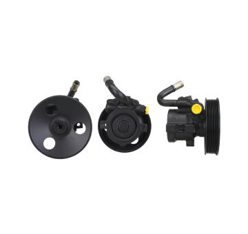 Hydraulické čerpadlo, řízení DRI 715521430