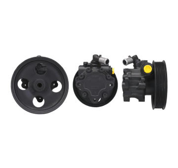Hydraulické čerpadlo, řízení DRI 715521499