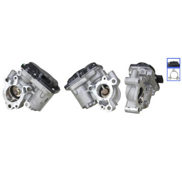 AGR - Ventil DRI 717730398