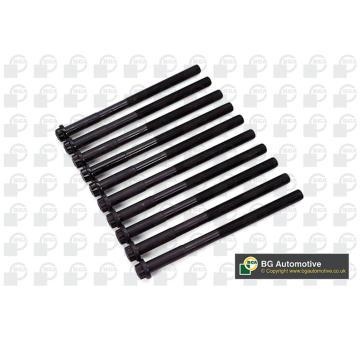 Sada sroubu pro hlavy valcu BGA BK2379