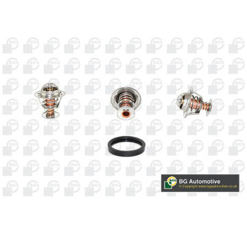 Termostat, chladivo BGA CT5441K