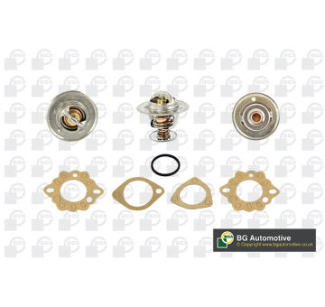 Termostat, chladivo BGA CT5455K