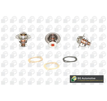 Termostat, chladivo BGA CT5480K