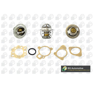 Termostat, chladivo BGA CT5531K