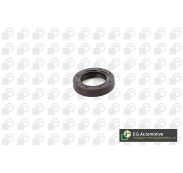 Těsnicí kroužek hřídele, vačkový hřídel BGA OS0111
