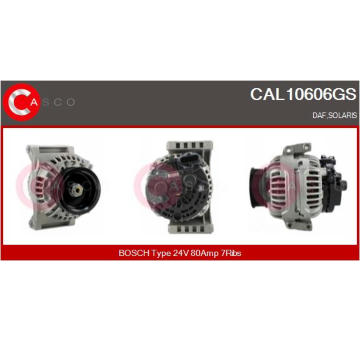 Rameno sterace, cisteni skel CASCO CWA73110AS