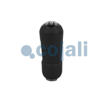 Hlavice radici paky COJALI 2880173