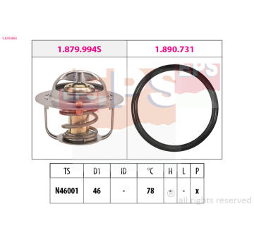 Termostat, chladivo EPS 1.879.993