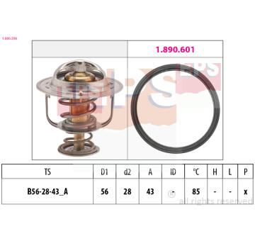 Termostat, chladivo EPS 1.880.398