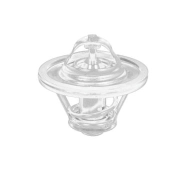 Termostat, chladivo THERMOTEC D2IV009TT