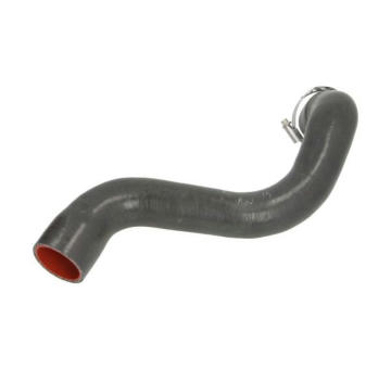 Hadička plnicího vzduchu THERMOTEC DCR201TTS