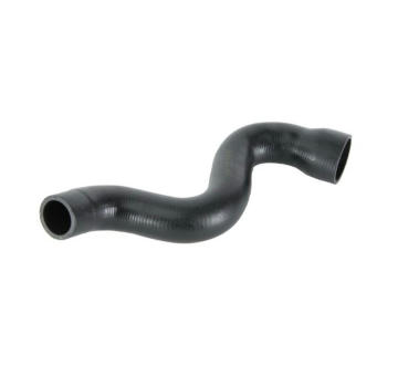 Hadička plnicího vzduchu THERMOTEC DCW019TT