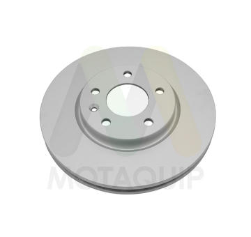 Brzdový kotouč MOTAQUIP LVBD1901