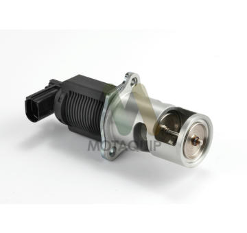 AGR-Ventil MOTAQUIP LVER165