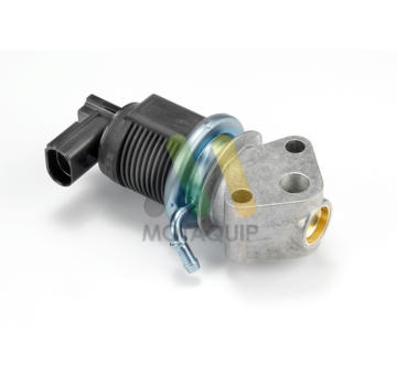 AGR-Ventil MOTAQUIP LVER258