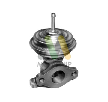 AGR-Ventil MOTAQUIP LVER276