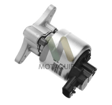 AGR-Ventil MOTAQUIP LVER290