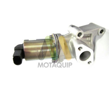 AGR-Ventil MOTAQUIP LVER313