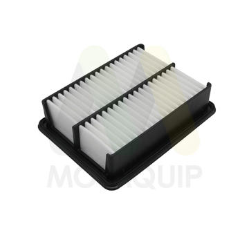 Vzduchový filtr MOTAQUIP LVFA1754