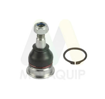 Podpora-/ Kloub MOTAQUIP LVSJ1282