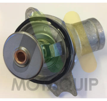 Termostat, chladivo MOTAQUIP LVTK219