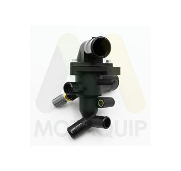 Termostat, chladivo MOTAQUIP LVTK262