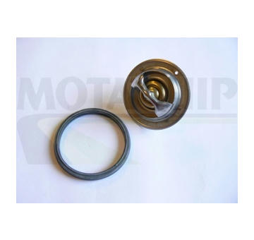 Termostat, chladivo MOTAQUIP VTK136