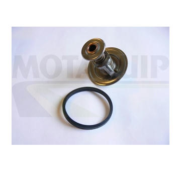 Termostat, chladivo MOTAQUIP VTK179