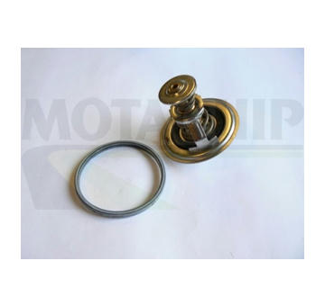 Termostat, chladivo MOTAQUIP VTK92