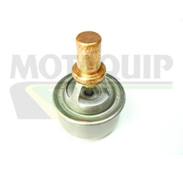 Termostat, chladivo MOTAQUIP VTS119