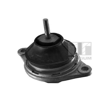 Zavěšení motoru TEDGUM 00059812