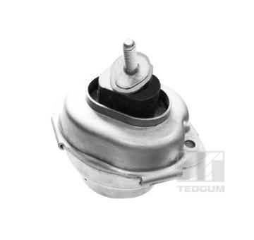Ulożenie motora TEDGUM 00088466