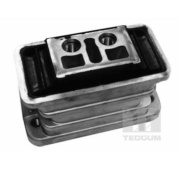 Zavěšení motoru TEDGUM 00415483