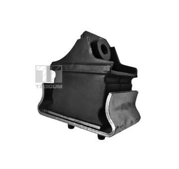 Ulożenie motora TEDGUM 00416326