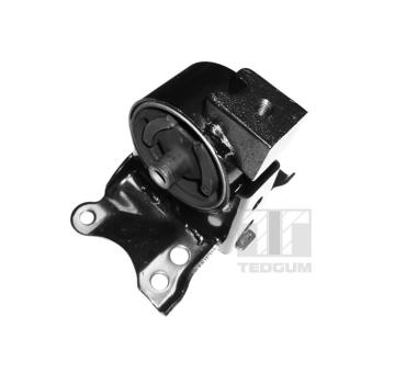 Ulożenie motora TEDGUM 00466350
