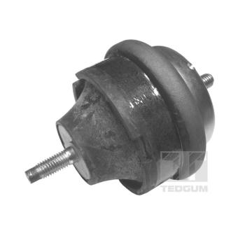 Ulożenie motora TEDGUM 00605017