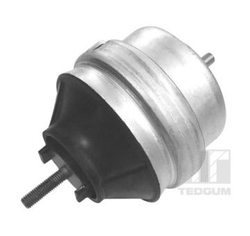 Zaveseni motoru TEDGUM 00726440