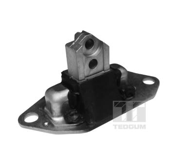 Zaveseni motoru TEDGUM 00745688