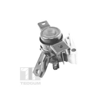 Zaveseni motoru TEDGUM TED13922