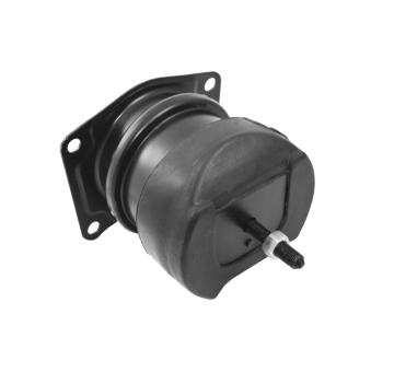 Ulożenie motora TEDGUM TED36116