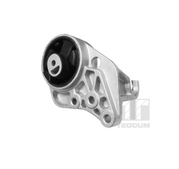 Zavěšení motoru TEDGUM TED36922